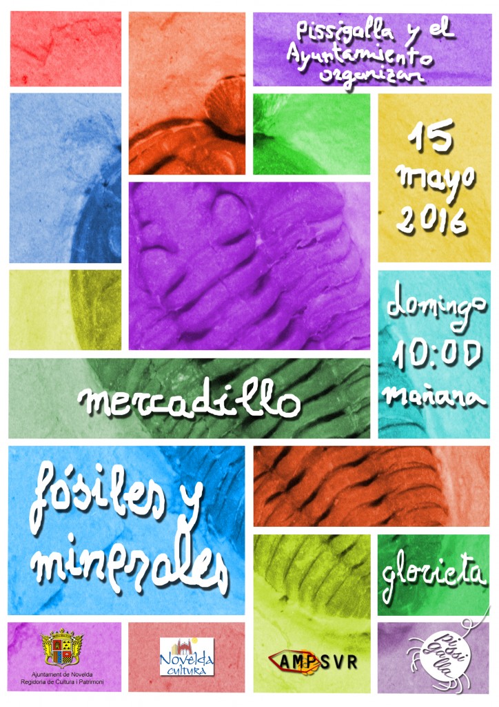 mercadillo fósiles TV (1)